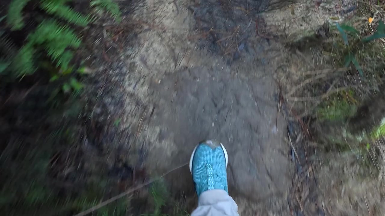 Ripresa in soggettiva di scarpe da ginnastica blu che camminano su un sentiero sterrato in Australia