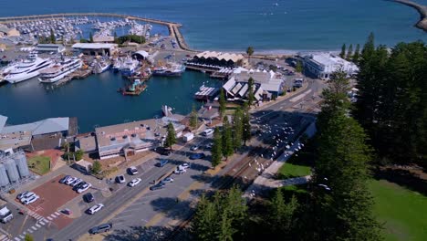 flock of birds fly from pine trees near fremantle yacht marina in perth, western australia - aerial view