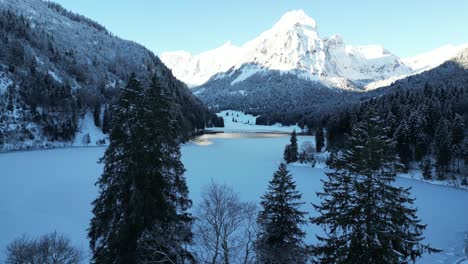 Obersee-Switzerland-Glarus-fly-past-trees-to-reveal-lake-and-Alps