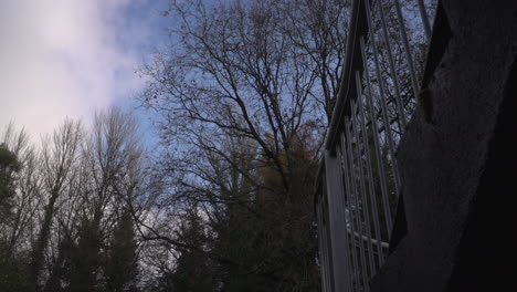 Trees-blue-sky,-with-stairs-in-foreground,-Hostel,-Asylum-seeker's-Accommodation