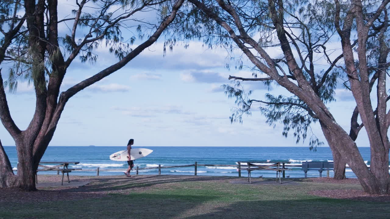 un surfista solitario pasa a través de los árboles de la orilla de la mar a lo largo de una playa desierta en australia