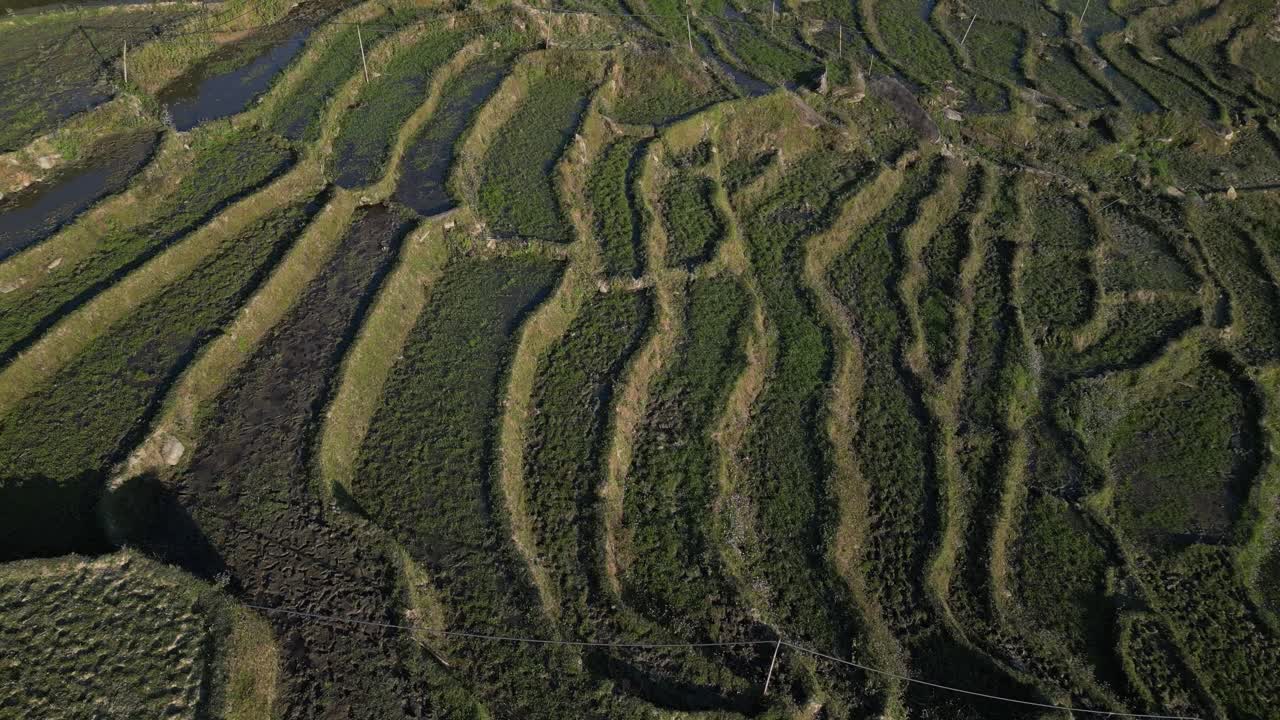 tomada aérea de un avión no tripulado volando sobre terrazas de arroz verde brillante y aldeas de las tierras altas en las montañas de sapa, vietnam