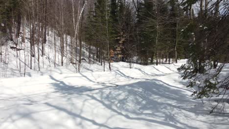 snow covered roads with tree forest near huntsville, muskoka region, ontario, canada