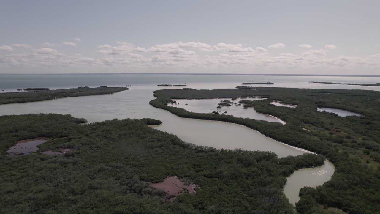 exuberante vegetación y aguas del lago de bacalar en méxico - toma aérea de drones