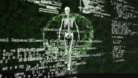 animación del esqueleto humano y el cerebro sobre el procesamiento de datos