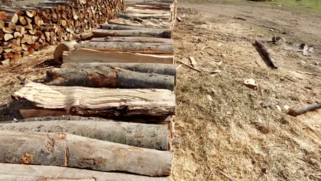 textura de fondo de leña. deforestación problema ambiental. leña pegada