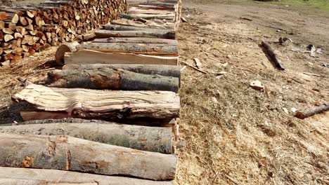 firewood background texture. deforestation environmental problem. firewood stuck