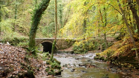 flowing autumnal welsh woodland forest stream stone arch bridge wilderness foliage