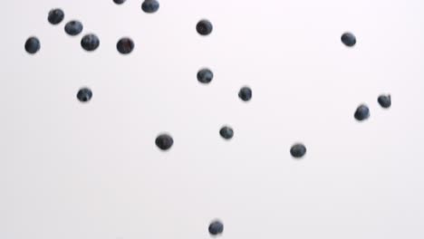 Blueberries-falling-in-slow-motion-on-white-studio-backdrop-in-4k
