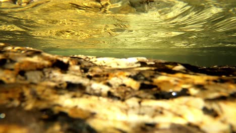 underwater 4k river stream in portugal