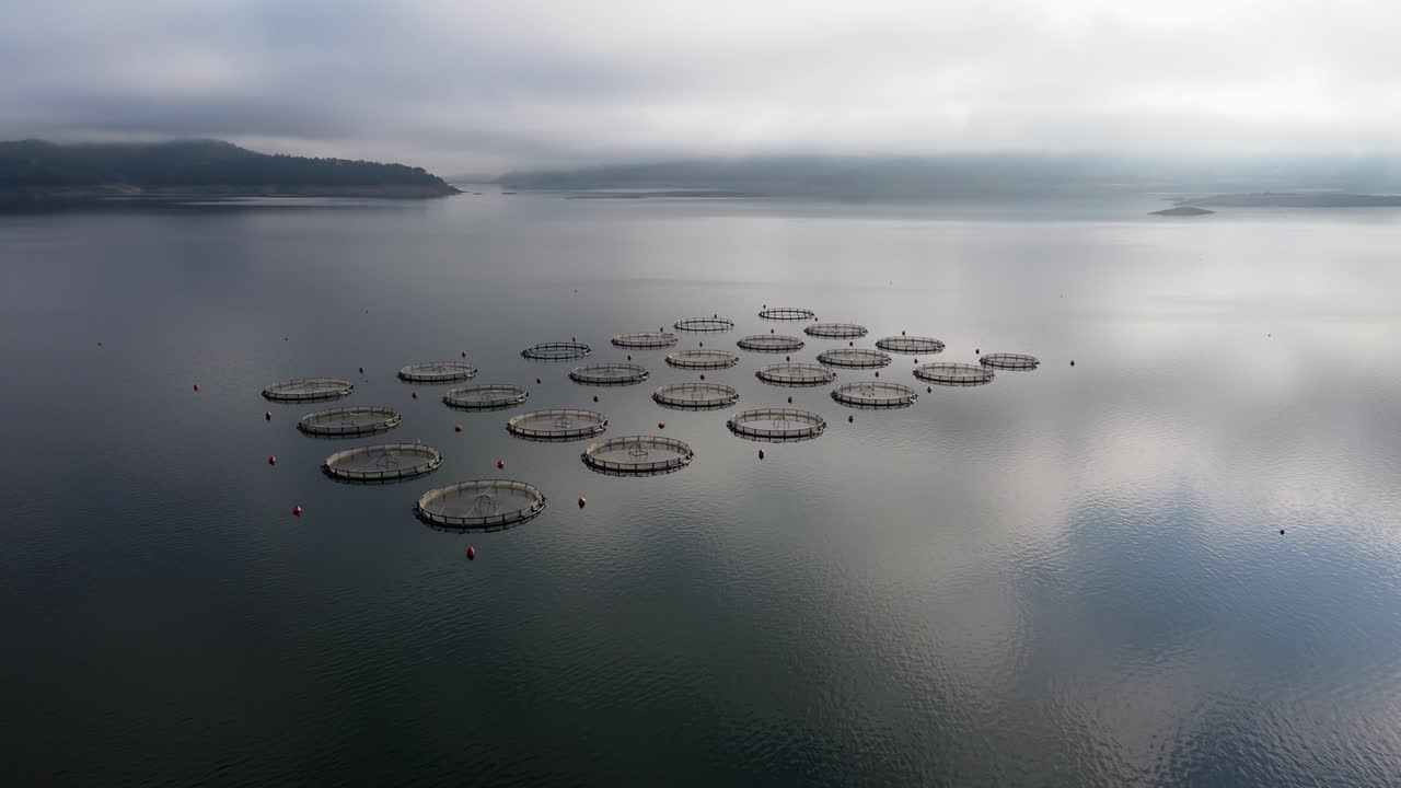 호수 에 있는 원형 케이지 를 가진 오징어 농장 의 공중 사진