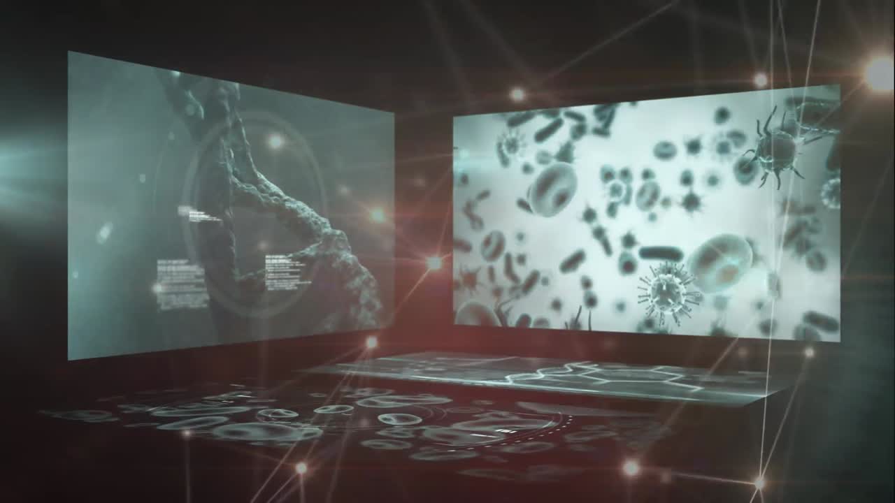 데이터 프로세싱을 통한 연결 네트워크의 애니메이션