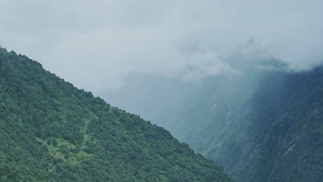 dramatic valley landscape in mountains, green mountainous valley with trees and low lying clouds in the himalayas mountains in nepal, amazing views while trekking and hiking in nepal
