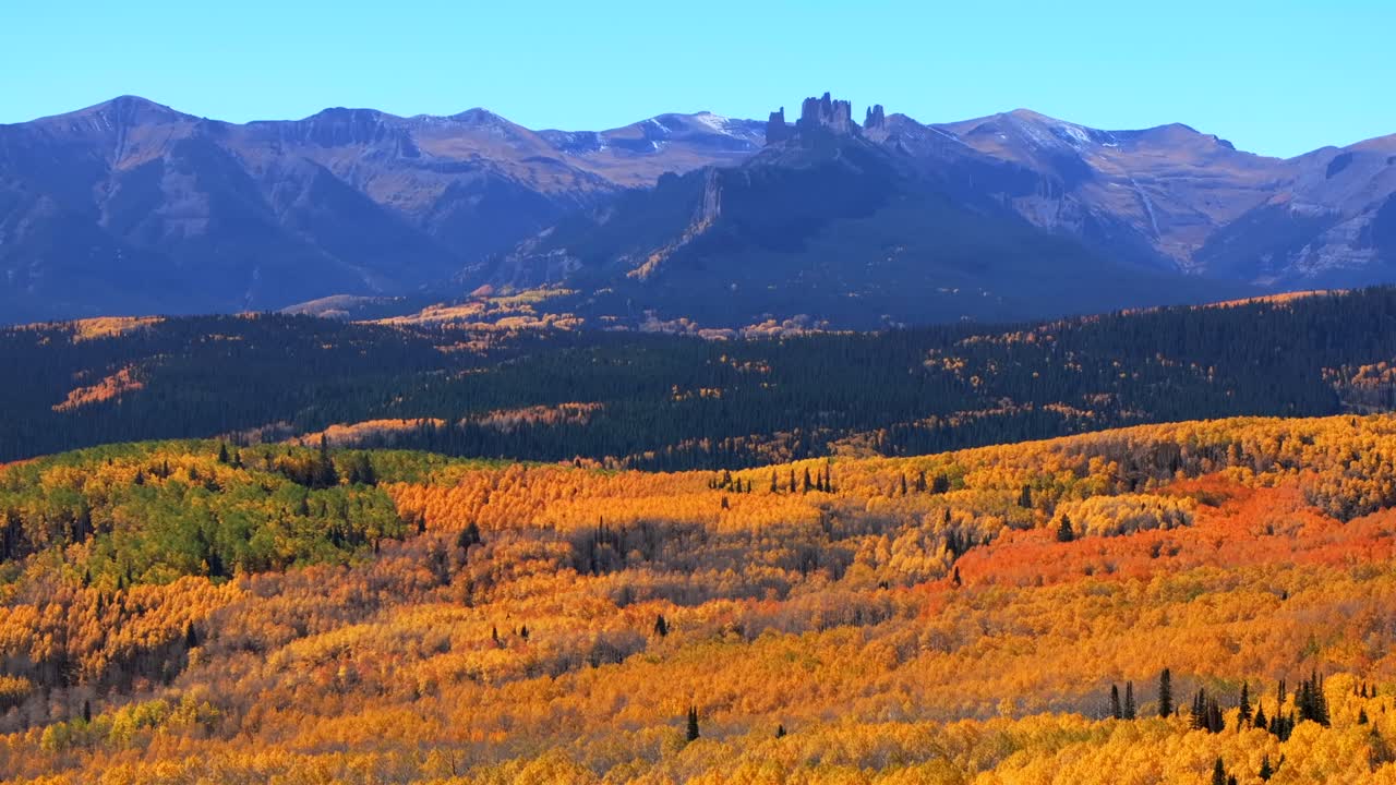 Ohio Kebler Swampy Pass Crested Butte Aspen Trees Fall Autumn auburn full peak colors Castle Mountain aerial drone Colorado Gunnison National forest morning sunny blue sky forward pan up motion
