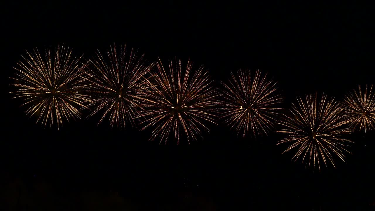 the fireworks in the night sky