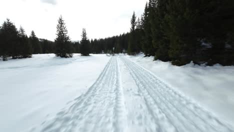 Paisaje-Cubierto-De-Nieve-Con-Densos-Pinos-En-El-Lago-Palù,-Valmalenco-Italia