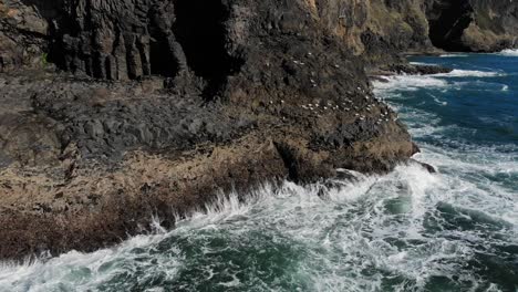 un dron estacionario filma pájaros volando alrededor de un acantilado sobre las olas rompiendo contra las rocas.