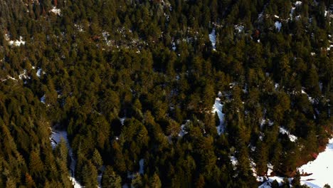 Vista-Aérea-Del-Mágico-Paisaje-Invernal-En-Un-Día-Soleado