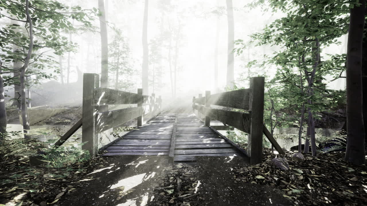 Misty forest pathway leads to a serene wooden bridge at dawn
