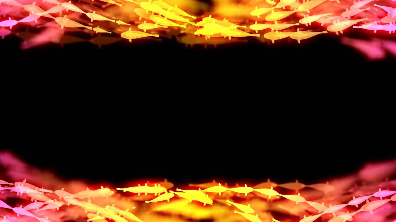 추상적인 보케 빛은 반이는 멋진 카르프 또는 코이 물고기 수영 패턴 노란색과 분홍색 그라디언트 색상 그림은 어두운 배경에, 원활한 루핑 애니메이션 4k 중앙 복사 공간