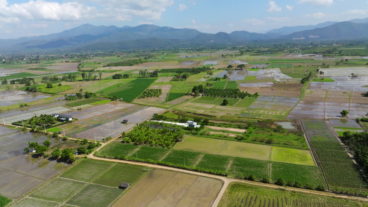 Aerial View Of Rice Fields In Chiang Mai Province, Thailand