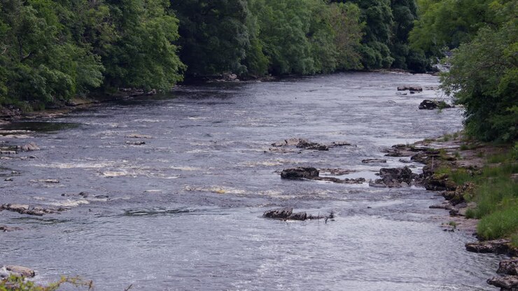 long shot of the river ure just after the lower falls at Aysgarth falls on the river ure, Yorkshire dales