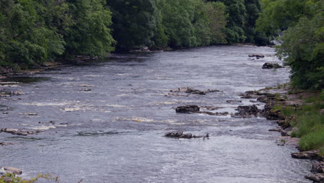 long shot of the river ure just after the lower falls at aysgarth falls on the river ure, yorkshire dales