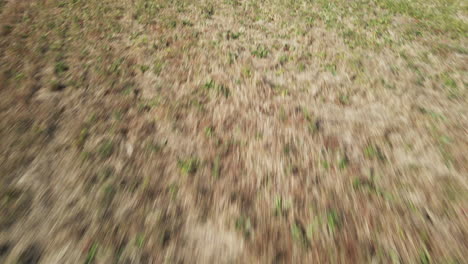 Sweeping-aerial-low-angle-revealing-farmland-Burgaw,-North-Carolina