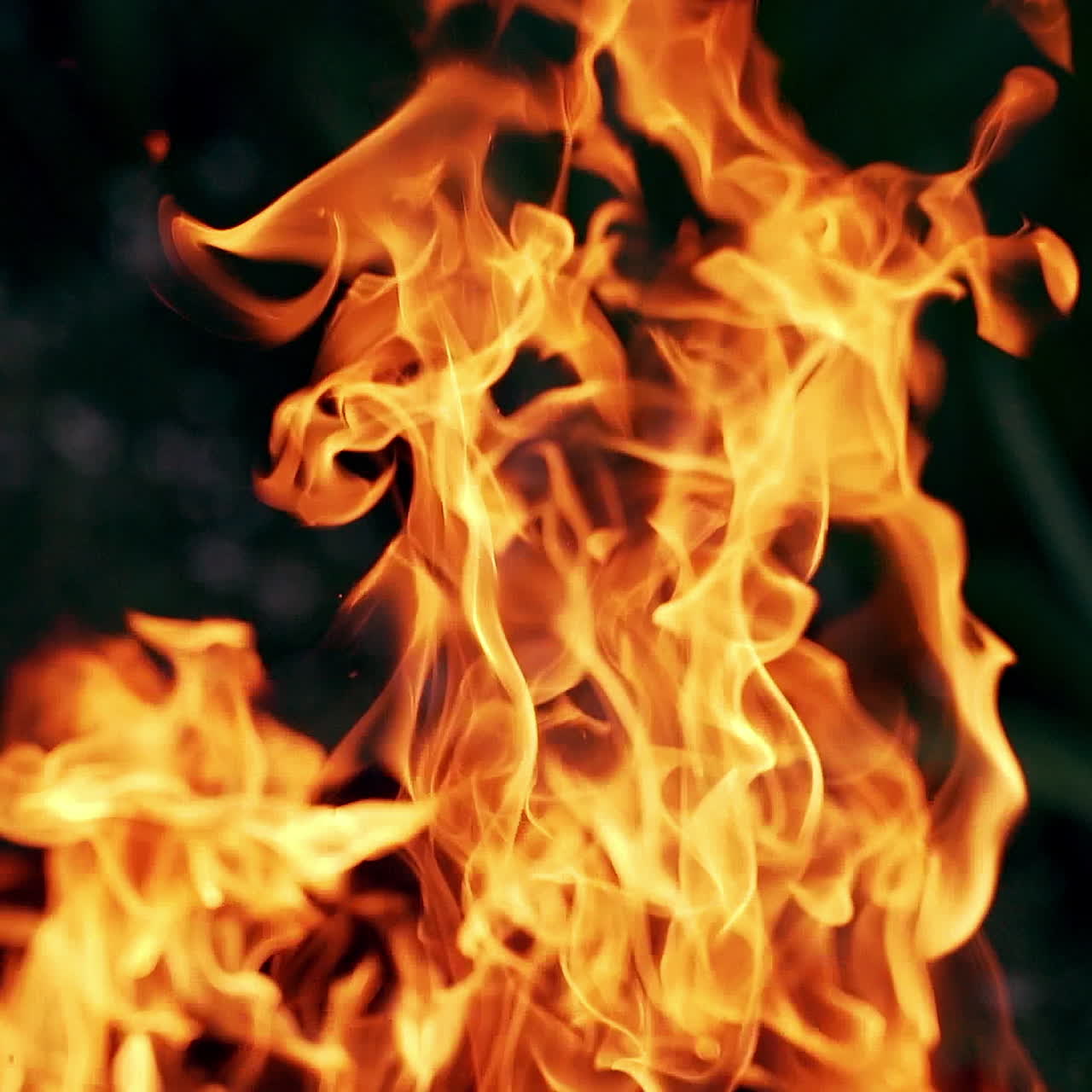 Orange tongues of flame with flying small sparks at night. Vivid flame of firewood burning on black background.