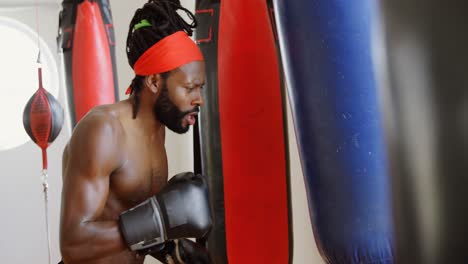 male boxer practicing boxing in fitness studio 4k