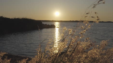 Sonnenuntergang-Am-See.-Sommerlandschaft.-Windiger-Sonnenuntergang