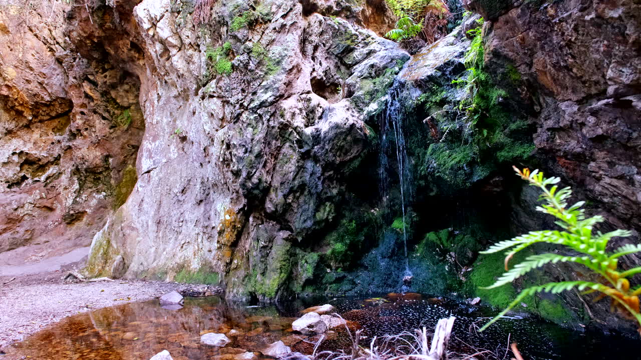 Meditative scene of fresh mountain water trickling over mossy rocks into pool