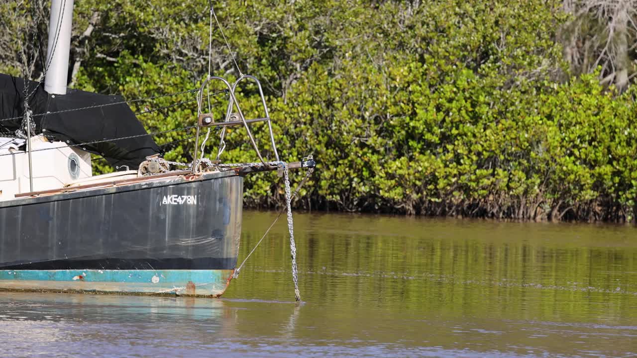 Stationary sailboat rests on tranquil river, sunlight reflecting, lush mangrove background, steady camera shot