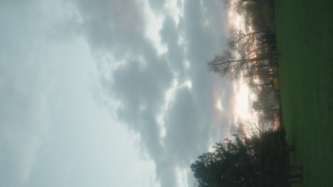 letná park, prague: vast green field, towering trees, and a cloudy serene sky - vertical