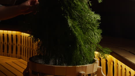 preparing a sauna with fir branches