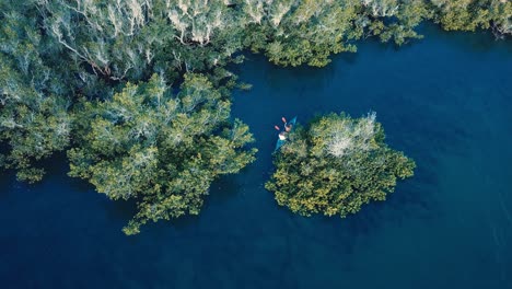 Couple-Kayaking-Between-Mangrove-Trees