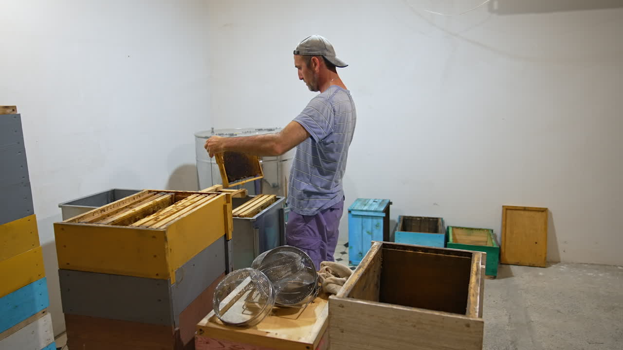 Beekeeper working with beehives and honeycombs