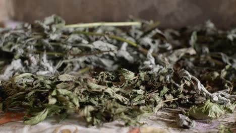 secado de hierbas medicinales en una antigua casa de campo
