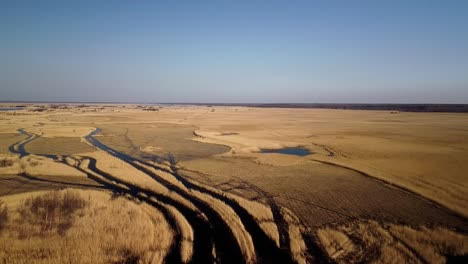 aerial view of the lake overgrown with brown reeds, lake pape nature park, rucava, latvia, sunny spring day, wide angle drone shot moving forward, high altitude