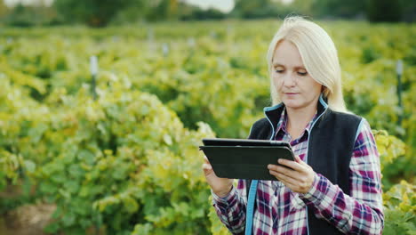 una agricultora satisfecha usa una tableta cerca de su jardín antes del atardecer