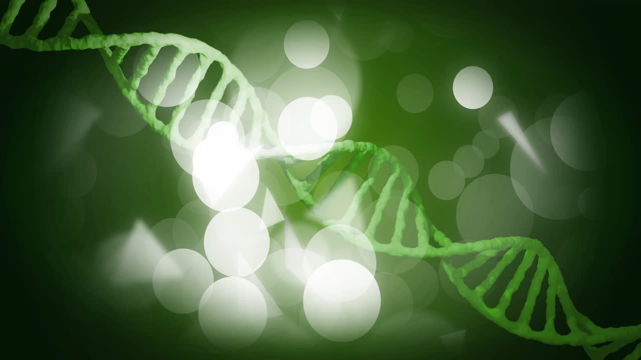 dna 줄에  반점이 생성됩니다.