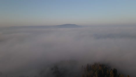 Flying-above-the-clouds-showing-the-forest-and-the-peak-of-the-mountain