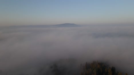flying above the clouds showing the forest and the peak of the mountain