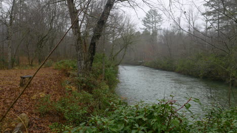 Shot-of-a-calm-river-in-a-forest-during-the-winter-in-Georgia