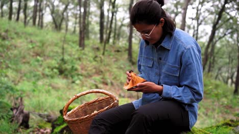 Woman-attentively-looking-at-Lactarius-mushroom-in-woods