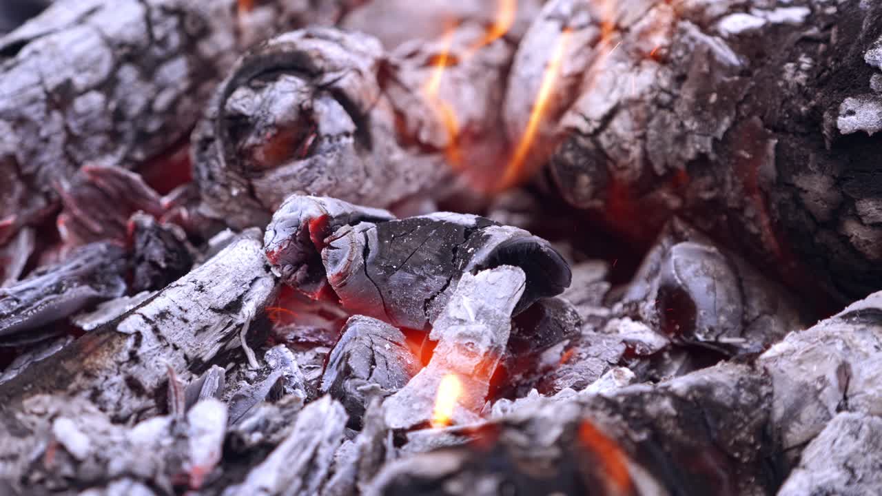 Money burning in glowing firewood. Background of black embers and one hundred dollars banknote burning quickly. Close-up.