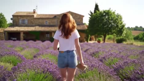 a serene walk through lush lavender fields: embracing nature’s beauty on a warm summer day, capturing the essence of calmness and tranquility in blooming gardens