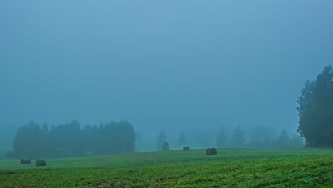 atmospheric landscape of countryside fields with hay bale rolls during misty morning