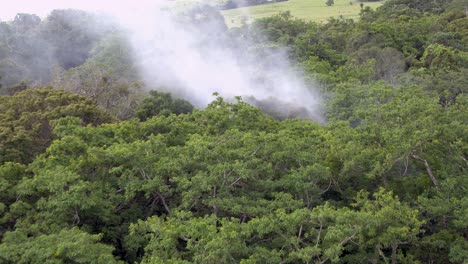 imágenes aéreas de drones de 4k de humo bramando a través de las copas de los árboles de un bosque