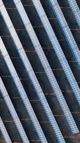 rows of photovoltaic solar panels in a field at a solar power plant. ecological production of electricity. top view shot by drone. vertical video